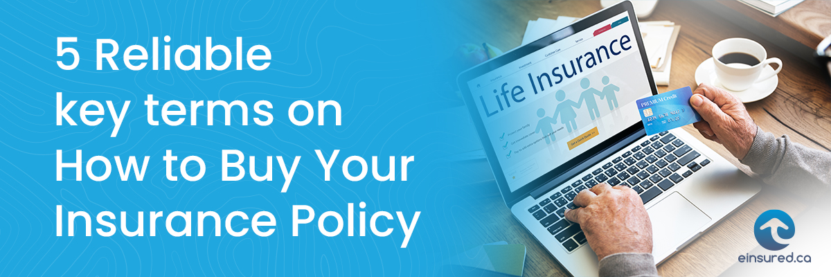 key terms on insurance policy